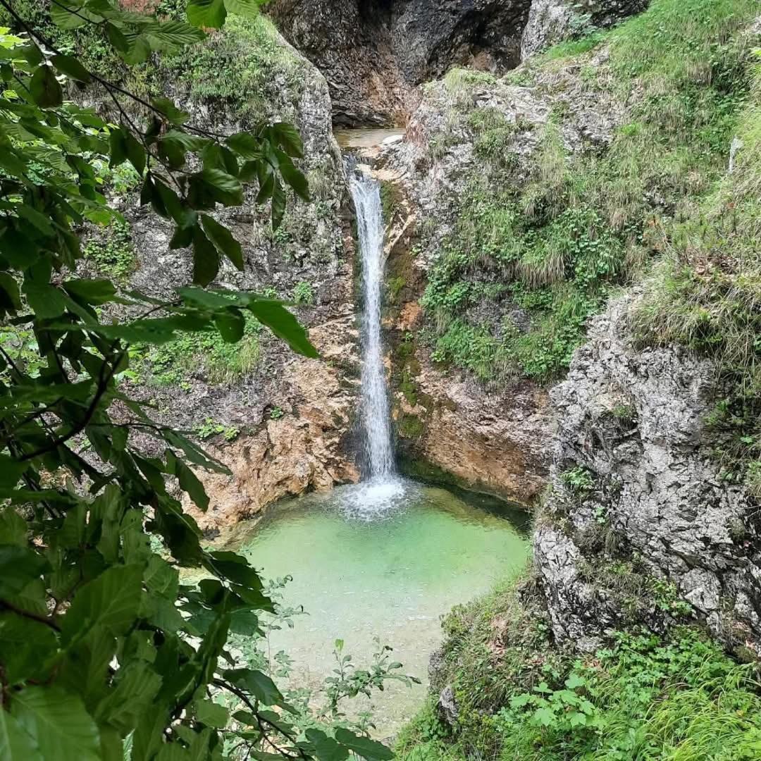 Апартаменты Stara Hisa Log Cezsoski Экстерьер фото